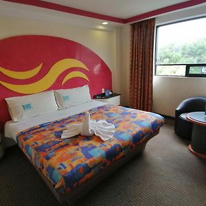 Standard Suite